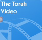 The Torah Video